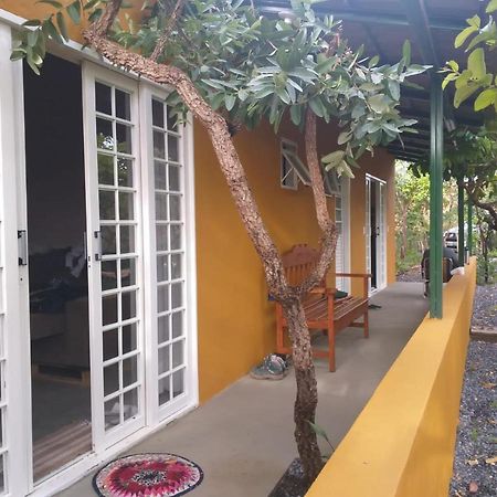 Jardim Da Lila - Um Recanto De Paz Em Alto Paraiso Alto Paraíso de Goiás 외부 사진